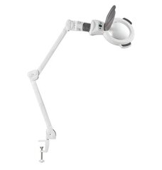 Светодиодная увеличительная лампа с настольным креплением 1006T цена и информация | Аппараты для маникюра и педикюра | pigu.lt