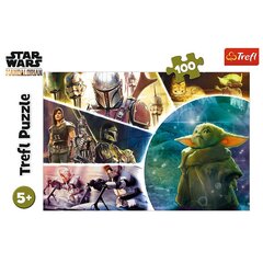 Пазл Trefl Star Wars, 100 р. цена и информация | Пазлы | pigu.lt