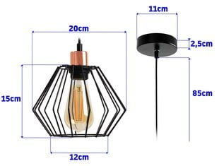Pakabinamas šviestuvas Loft Siena цена и информация | Подвесной светильник | pigu.lt