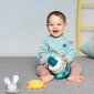 Rūšiuoklis-piramidė Kiškis Taf Toys kaina ir informacija | Žaislai kūdikiams | pigu.lt