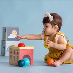 Edukacinis žaislas Kamuoliukų dėžutė Taf Toys kaina ir informacija | Žaislai kūdikiams | pigu.lt