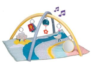 Обучающий коврик Taf Toys Magical Mini Moon Gym цена и информация | Развивающие коврики | pigu.lt