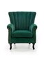 Fotelis Halmar Titan, žalias kaina ir informacija | Svetainės foteliai | pigu.lt