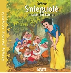 Snieguolė ir septyni nykštukai цена и информация | Книжки - раскраски | pigu.lt