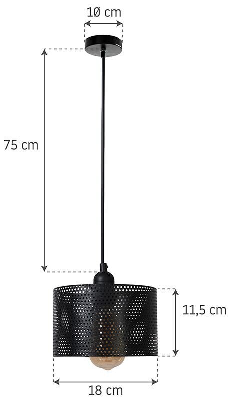 Pakabinamas šviestuvas Loft Perforate kaina ir informacija | Pakabinami šviestuvai | pigu.lt