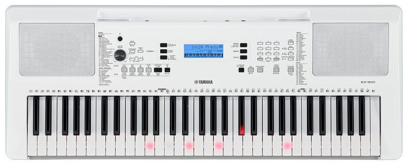 Sintezatorius YAMAHA EZ-300 kaina ir informacija | Klavišiniai muzikos instrumentai | pigu.lt