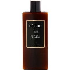 Maitinamasis šampūnas dažnam naudojimui vyrams Noberu No 101 Hair Treatment, 250 ml kaina ir informacija | Šampūnai | pigu.lt