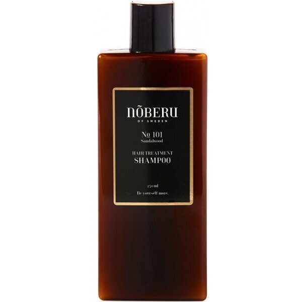 Maitinamasis šampūnas dažnam naudojimui vyrams Noberu No 101 Hair Treatment, 250 ml цена и информация | Šampūnai | pigu.lt