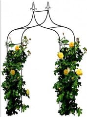 Arka vijokliniams augalams Garden Line, 240 cm kaina ir informacija | Gėlių stovai, vazonų laikikliai | pigu.lt