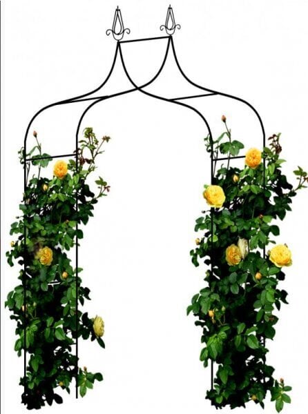 Arka vijokliniams augalams Garden Line, 240 cm kaina | pigu.lt