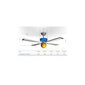 Westinghouse šviestuvas - ventiliatorius Princess Zolto цена и информация | Šviestuvai - ventiliatoriai | pigu.lt
