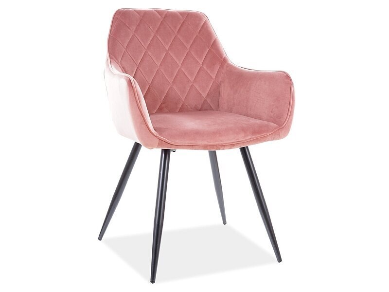 2-jų kėdžių komplektas Signal Meble Linea, rožinis kaina ir informacija | Virtuvės ir valgomojo kėdės | pigu.lt