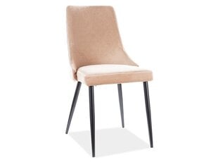 2-jų kėdžių komplektas Signal Meble Piano B, smėlio spalvos kaina ir informacija | Virtuvės ir valgomojo kėdės | pigu.lt