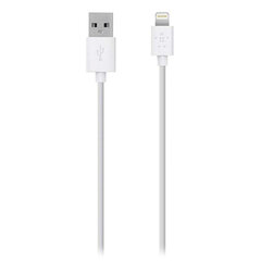 Belkin F8J023bt04-WHT, USB-Lightning, 1.2 m kaina ir informacija | Laidai telefonams | pigu.lt