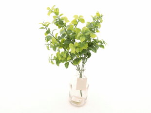 Кустик зелени цена и информация | Искусственные цветы | pigu.lt