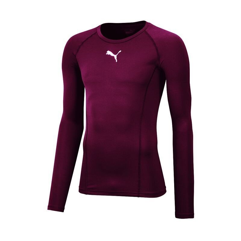 Termo apatiniai vyrams Puma Liga Baselayer Tee LS 655920 09 kaina ir informacija | Vyriški termo apatiniai | pigu.lt