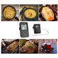 Belaidis termometras su zondu TFA Kuchen-Chef kaina ir informacija | Išskirtiniai maisto gaminimo prietaisai | pigu.lt