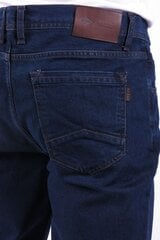 Джинсы BLK JEANS цена и информация | Mужские джинсы Only & Sons Loom 5714910844399 | pigu.lt