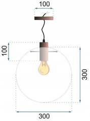 Pakabinamas šviestuvas Lassi, 30 cm, Rose gold kaina ir informacija | Pakabinami šviestuvai | pigu.lt