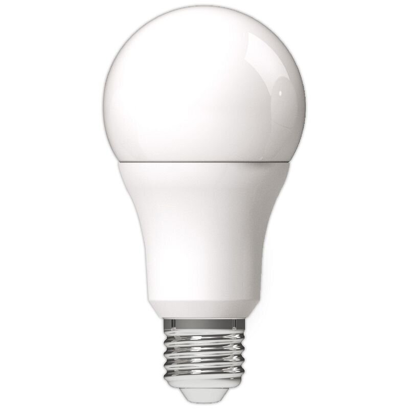 Avide LED lemputė 16W A70 E27 6400K kaina ir informacija | Elektros lemputės | pigu.lt