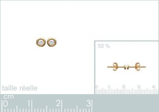 Серьги с золотым покрытием 750°, 2 мм, произведено во Франции цена и информация | Серьги | pigu.lt