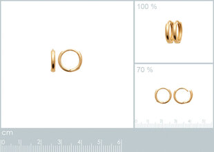 Серьги с золотым покрытием 750°, 12 мм, произведено во Франции цена и информация | Серьги | pigu.lt