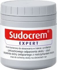 Крем против раздражений Sudocrem Expert, 125 г цена и информация | Косметика для мам и детей | pigu.lt