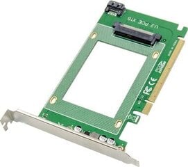 Kontroler ProXtend ProXtend PCIe X16 U.2 SFF8639 SSD Adapter Card kaina ir informacija | Valdikliai | pigu.lt