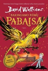 Bakingamo rūmų pabaisa цена и информация | Книги для детей | pigu.lt