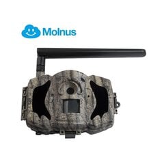 Fotoaparatas - kamera Boly Guard MG984G-36M kaina ir informacija | Medžioklės reikmenys | pigu.lt