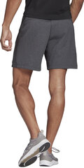 Шорты Adidas M Mt Shorts Grey GM2089/XL цена и информация | Мужские шорты | pigu.lt
