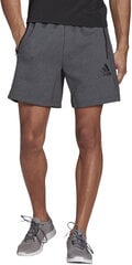 Шорты Adidas M Mt Shorts Grey GM2089/XL цена и информация | Мужские шорты | pigu.lt