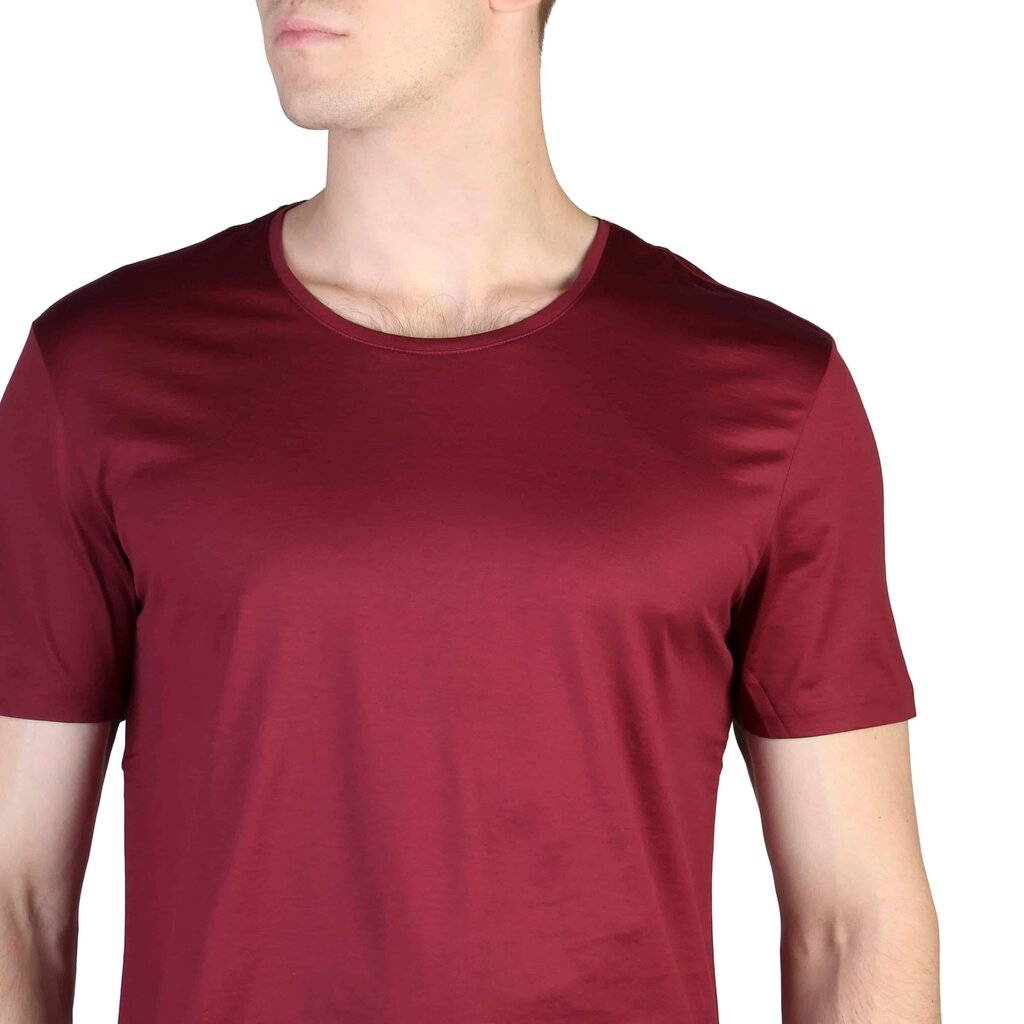 Marškinėliai vyrams Calvin Klein K10K100979, raudoni kaina ir informacija | Vyriški marškinėliai | pigu.lt