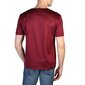 Marškinėliai vyrams Calvin Klein K10K100979, raudoni kaina ir informacija | Vyriški marškinėliai | pigu.lt