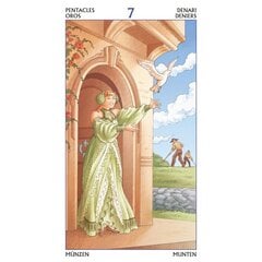 Taro Kortos Tarot Of The 78 Doors. цена и информация | Эзотерика | pigu.lt