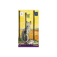 Карты Таро Tarot Of Pagan Cats цена и информация | Эзотерика | pigu.lt