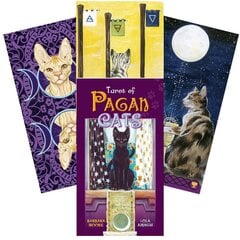 Taro Kortos Tarot Of Pagan Cats kaina ir informacija | Ezoterika | pigu.lt