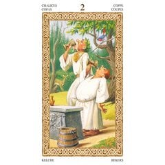 Taro Kortos Tarot Of Druids kaina ir informacija | Ezoterika | pigu.lt