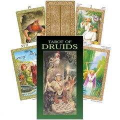 Taro Kortos Tarot Of Druids kaina ir informacija | Ezoterika | pigu.lt