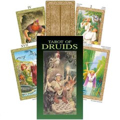 Карты Таро Tarot Of Druids цена и информация | Эзотерика | pigu.lt