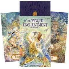 Taro kortos The Winged Enchantment kaina ir informacija | Ezoterika | pigu.lt
