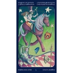 Карты Таро Tarot of the Sweet Twilight цена и информация | Эзотерика | pigu.lt