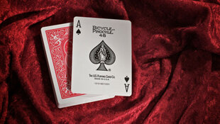 Kortos, raudonos kaina ir informacija | Azartiniai žaidimai, pokeris | pigu.lt