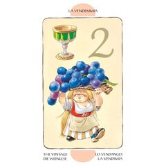 Карты Таро Tarot Of Gnomes цена и информация | Эзотерика | pigu.lt