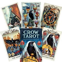 Taro kortos Crow kaina ir informacija | Ezoterika | pigu.lt