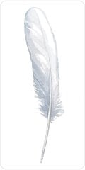 Taro kortos Divine Feather kaina ir informacija | Ezoterika | pigu.lt