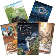Taro Kortos Mystical Cats Tarot kaina ir informacija | Ezoterika | pigu.lt