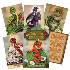 Taro kortos Field Guide To garden Dragons kaina ir informacija | Ezoterika | pigu.lt