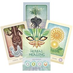 Карты Таро Herbal Healing Deck цена и информация | Эзотерика | pigu.lt