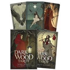 Taro kortos Dark Wood Tarot kaina ir informacija | Ezoterika | pigu.lt